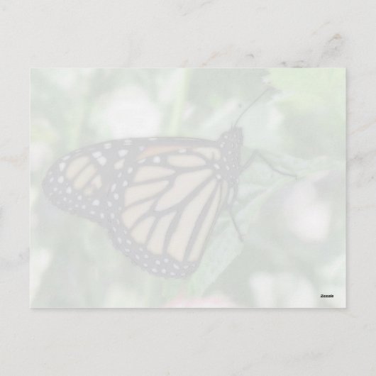 Monarch Raupe Valentine Postkarte (Rückseite)