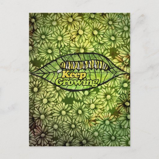 Monarch-Raupe wächst weiter                   Postkarte (Vorderseite)