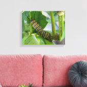 Monarch Raupe Wrapped Canvas Leinwanddruck (Insitu (Wohnzimmer))