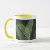 Monarch-Raupen-Tasse Tasse (Links)