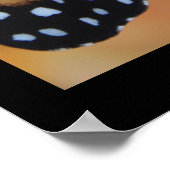 Monarch Royal Poster (Ecke)