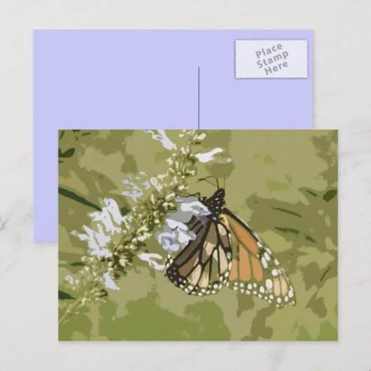 Monarch & Salvia Postkarte (Vorne/Hinten)