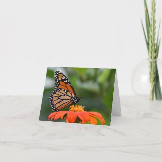 Monarch-Schmetterling auf Blume Karte (Vorderseite)