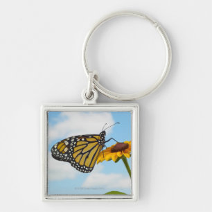 Monarch-Schmetterling auf einer schwarzen mit Schlüsselanhänger