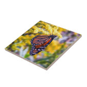 Monarch-Schmetterling auf Fliese (Seite)