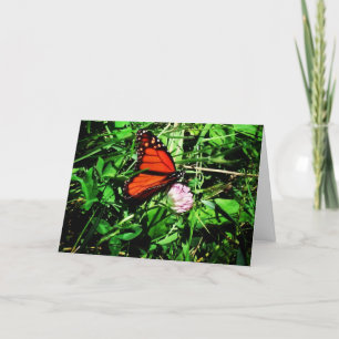 "Monarch-Schmetterling" Gute Besserung Karte #2
