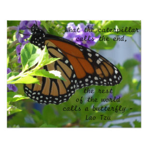 Monarch-Schmetterling Inspirierendes Zitat Poster