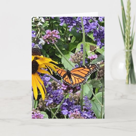 Monarch-Schmetterling Karte (Vorderseite)