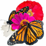 Monarch Schmetterlinge und Blume Skulptur Freistehende Fotoskulptur<br><div class="desc">Eine schöne Ergänzung zu Ihrem Tisch oder Regal. Monarchen erinnern uns daran,  dass Gott bei uns und in der Kontrolle ist. Vertraue Gott!</div>