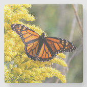 Monarch-Schmetterlings-Stein-Untersetzer Steinuntersetzer (Vorderseite)
