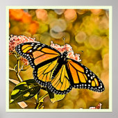 Monarch-Schmetterlingsgarten-Kunst Poster (Vorne)