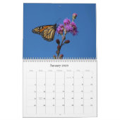 Monarch-Schmetterlingskalender Kalender (Jan 2026)