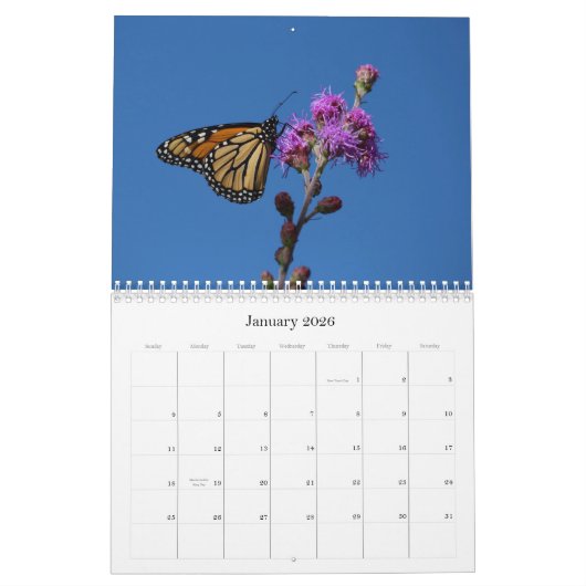 Monarch-Schmetterlingskalender Kalender (Jan 2026)