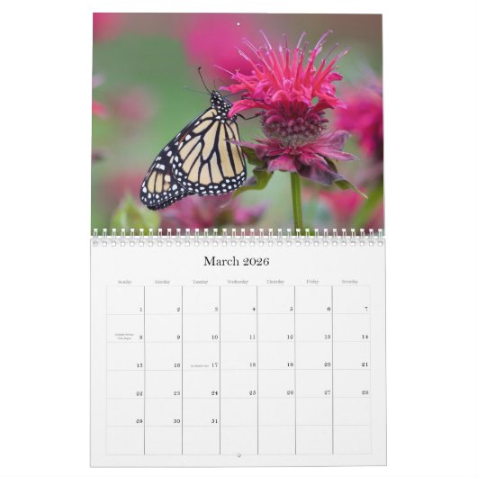 Monarch-Schmetterlingskalender Kalender (Mär 2026)