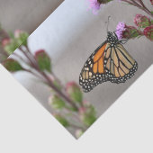 Monarch Seidenpapier (Detail)