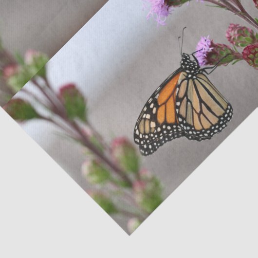 Monarch Seidenpapier (Detail)