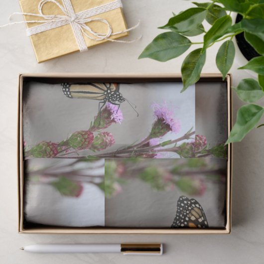 Monarch Seidenpapier (Geschenk)