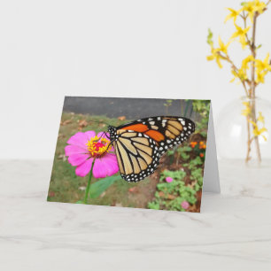 Monarch Sipping Pink Zinnia, Blank Card Karte