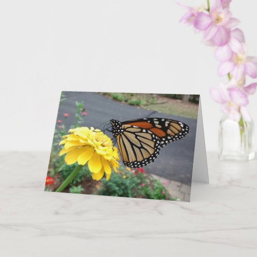 Monarch Sipping Yellow Zinnia, Blank Card Karte (Orchidee)