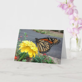 Monarch Sipping Yellow Zinnia, Blank Card Karte