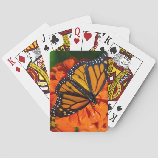Monarch Spielkarten (Rückseite)