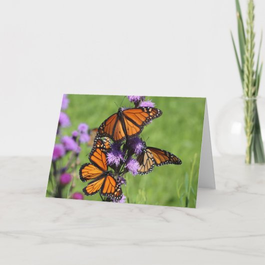 Monarch-Trio Karte (Vorderseite)