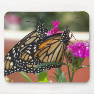 Monarch Twins #1-mousepad Mousepad
