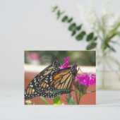 Monarch Twins #1-Postkarten Postkarte (Stehend Vorderseite)