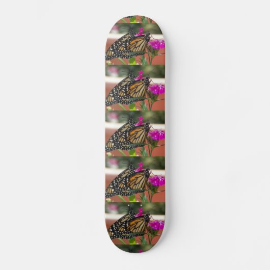 Monarch Twins #1 Skateboard (Vorderseite)