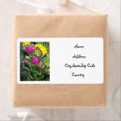 Monarch Twins #2-Adresslabel (Insitu)