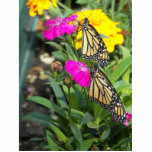 Monarch Twins #2-Fotoskulptur Freistehende Fotoskulptur<br><div class="desc">Schöne Zwillingsschmetterlinge aus Monarch nur geboren. Auf der rosafarbenen Blume stehen. Die Natur ist am besten. Farbenfrohe Monarchen-Schmetterlingsbild für Frühlings- und Sommergeschenke. © Copyright Foto von Debra Carr</div>