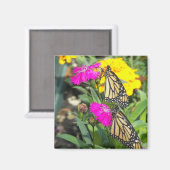 Monarch Twins #2-magnet Magnet (Vorderseite/Rückseite)