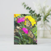 Monarch Twins #2-postcard Postkarte (Stehend Vorderseite)