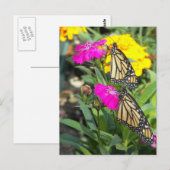 Monarch Twins #2-postcard Postkarte (Vorne/Hinten)