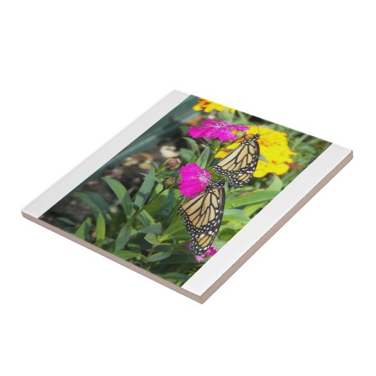 Monarch Twins #2-tile Fliese (Seite)