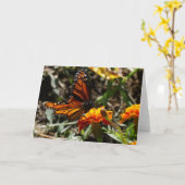 Monarch u. Ringelblume Karte (Gelbe Blume)