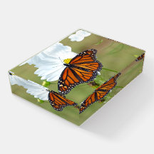 Monarch über den Kosmos