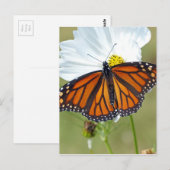 Monarch über den Kosmos Postkarte (Vorne/Hinten)