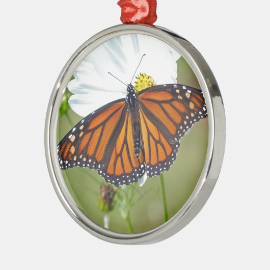 Monarch über den Kosmos Silbernes Ornament (Links)