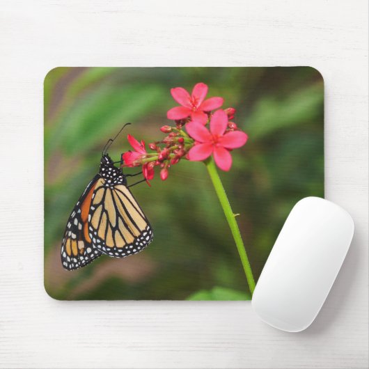 Monarch über Penta-Blume Mousepad (Mit Mouse)
