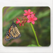 Monarch über Penta-Blume Mousepad (Vorne)