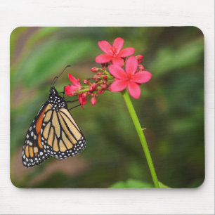 Monarch über Penta-Blume Mousepad