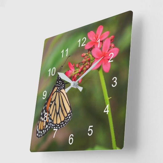 Monarch über Penta-Blume Quadratische Wanduhr (Winkel)