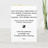 Monarch und Gänseblümchen Karte (Rückseite)