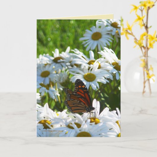 Monarch und Gänseblümchen Karte (Gelbe Blume)