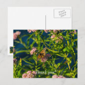 Monarch und Milkweed Danke, Postcard Postkarte (Vorne/Hinten)