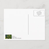 Monarch und Milkweed Danke, Postcard Postkarte (Rückseite)