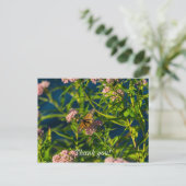 Monarch und Milkweed Danke, Postcard Postkarte (Stehend Vorderseite)