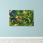 Monarch und Milkweed Leinwanddruck (Insitu (Holzboden))