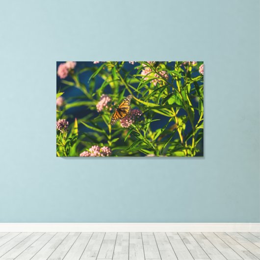 Monarch und Milkweed Leinwanddruck (Insitu (Holzboden))